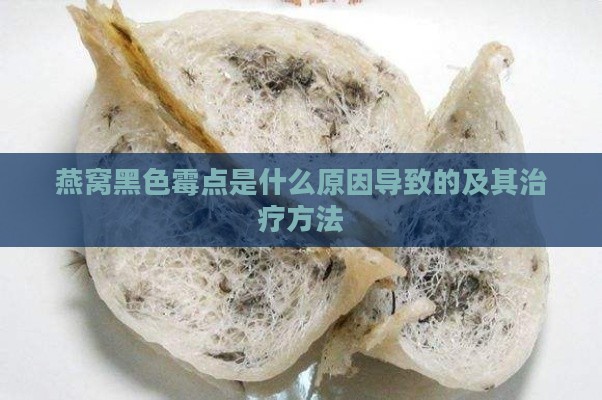 燕窝黑色霉点是什么原因导致的及其治疗方法