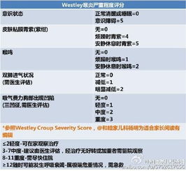 全方位解析：如何全面评估与鉴别燕窝品质优劣