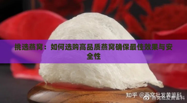 挑选燕窝：如何选购高品质燕窝确保更佳效果与安全性