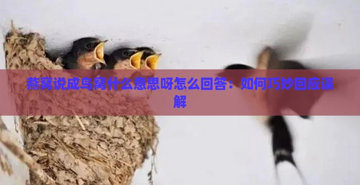 燕窝说成鸟窝什么意思呀怎么回答：如何巧妙回应误解