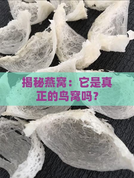 揭秘燕窝：它是真正的鸟窝吗？