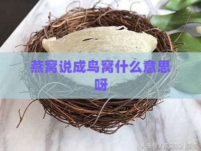 燕窝说成鸟窝什么意思呀