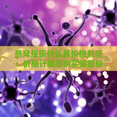 燕窝是按什么算价格的呀：价格计算与购买重量标准解析