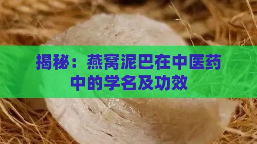 揭秘：燕窝泥巴在中医药中的学名及功效