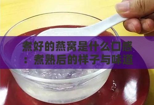 煮好的燕窝是什么口感：煮熟后的样子与味道特点解析