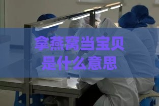 拿燕窝当宝贝是什么意思