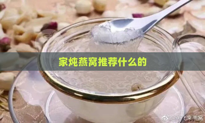 家炖燕窝推荐什么的