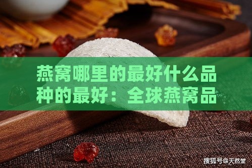 燕窝哪里的更好什么品种的更好：全球燕窝品质与品种优劣对比