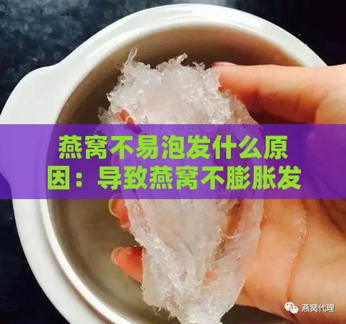 燕窝不易泡发什么原因：导致燕窝不膨胀发泡的原因分析