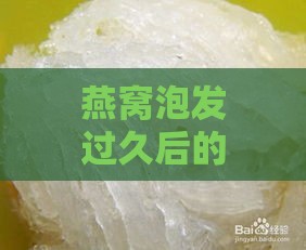 燕窝泡发过久后的多种用途与妙用：如何充分利用过期燕窝