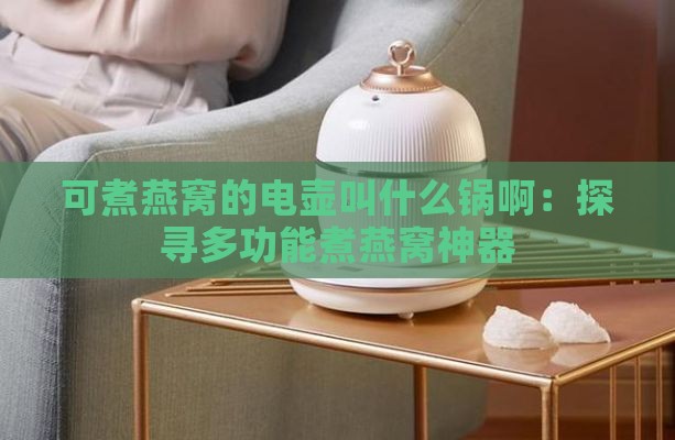 可煮燕窝的电壶叫什么锅啊：探寻多功能煮燕窝神器