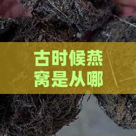 古时候燕窝是从哪里来的