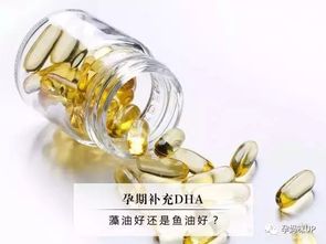 揭秘燕窝胶囊：深度解析其精准成分构成