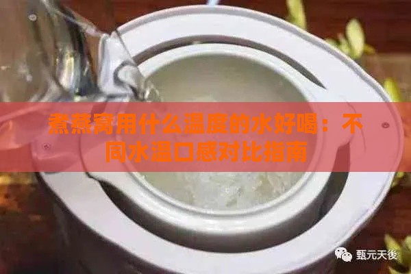 煮燕窝用什么温度的水好喝：不同水温口感对比指南