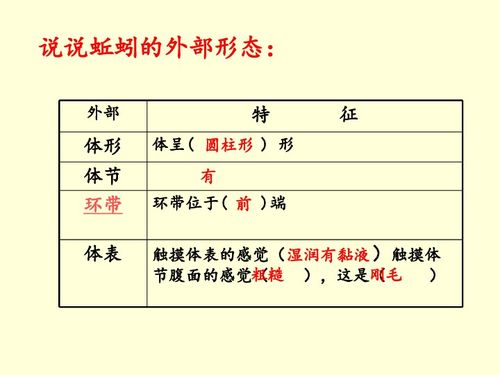 探究燕窝对肾脏的益处与潜在功效：全面解析其对肾健康的积极作用