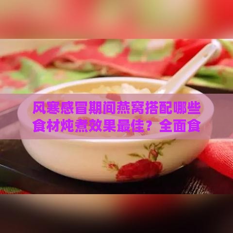 风寒感冒期间燕窝搭配哪些食材炖煮效果更佳？全面食谱指南