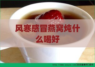 风寒感冒燕窝炖什么喝好