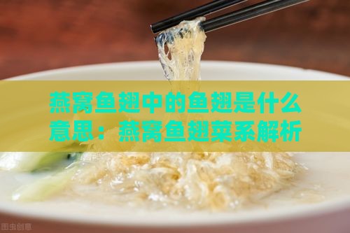 燕窝鱼翅中的鱼翅是什么意思：燕窝鱼翅菜系解析及含义探究