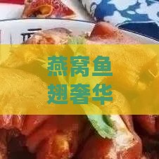 燕窝鱼翅奢华炖煮攻略：美味与营养的双重享受