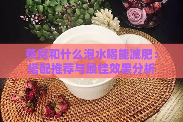 燕窝和什么泡水喝能减肥：搭配推荐与更佳效果分析