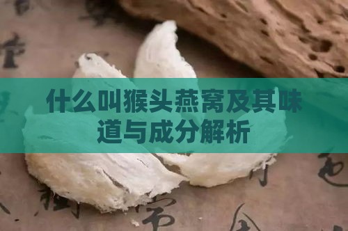 什么叫猴头燕窝及其味道与成分解析