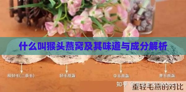 什么叫猴头燕窝及其味道与成分解析