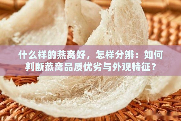 什么样的燕窝好，怎样分辨：如何判断燕窝品质优劣与外观特征？