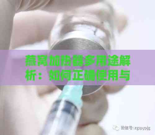 燕窝加热器多用途解析：如何正确使用与保养，提升燕窝食用体验