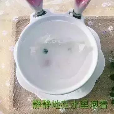 浸泡的燕窝是什么样子的