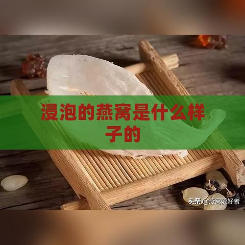 浸泡的燕窝是什么样子的