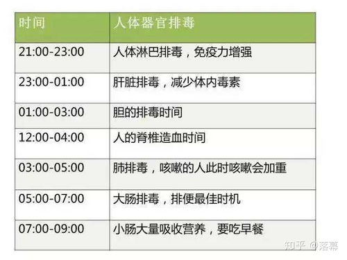 燕窝肽饮用更佳时间指南：涵盖早晨、晚上及全天时段效果分析