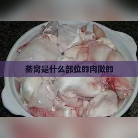 燕窝是什么部位的肉做的