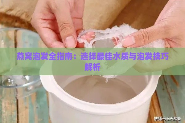 燕窝泡发全指南：选择更佳水质与泡发技巧解析