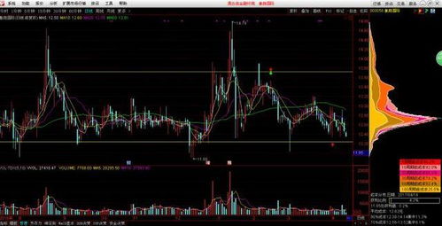 深入解析：干挑与半干挑燕窝的区别及营养价值对比