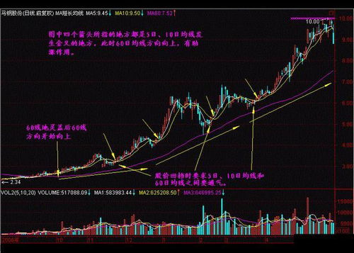 深入解析：干挑与半干挑燕窝的区别及营养价值对比