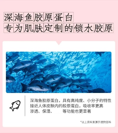 揭秘燕窝胶原蛋白：深海秘密与肌肤年轻的科学密码