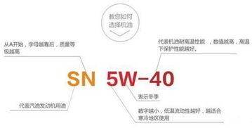 燕窝购买指南：挑选技巧、价格范围及常见疑问解答