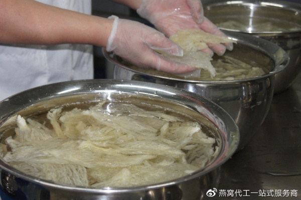 揭秘即食燕窝：全面解析制作材料与工艺流程