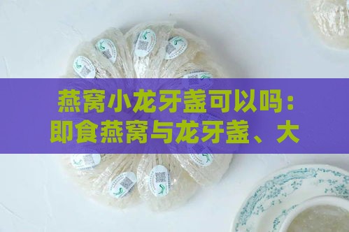 燕窝小龙牙盏可以吗：即食燕窝与龙牙盏、大盏、三角盏区别解析