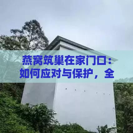 燕窝筑巢在家门口：如何应对与保护，全方位解决居民困扰