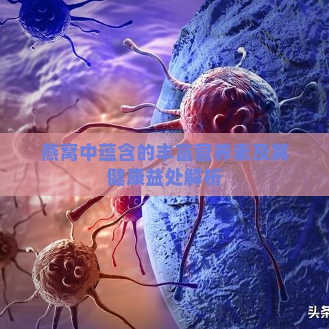 燕窝中蕴含的丰富营养素及其健康益处解析