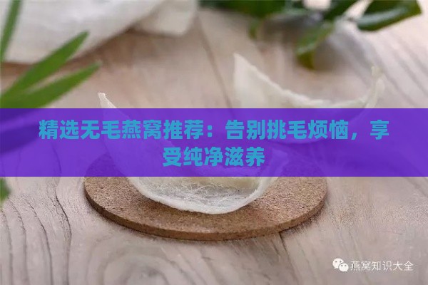 精选无毛燕窝推荐：告别挑毛烦恼，享受纯净滋养