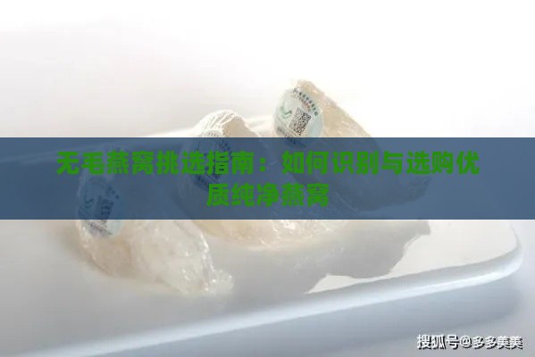 无毛燕窝挑选指南：如何识别与选购优质纯净燕窝