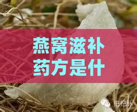 燕窝滋补药方是什么药材