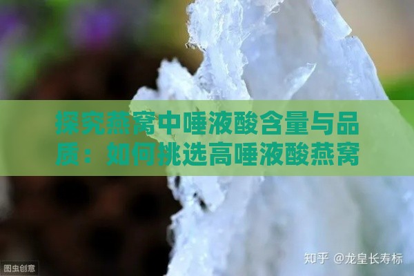 探究燕窝中唾液酸含量与品质：如何挑选高唾液酸燕窝及其益处