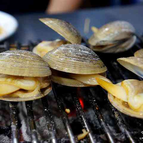 探究燕窝与鱼翅口感差异：一场美食的味觉对比