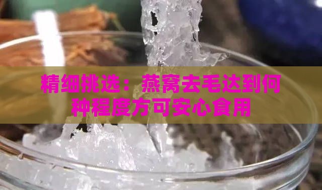 精细挑选：燕窝去毛达到何种程度方可安心食用