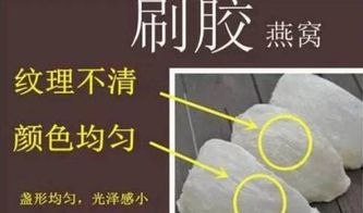 燕窝的毛太难挑了：原因、解决方法及食用安全性探讨