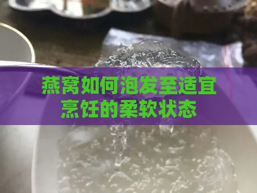 燕窝如何泡发至适宜烹饪的柔软状态