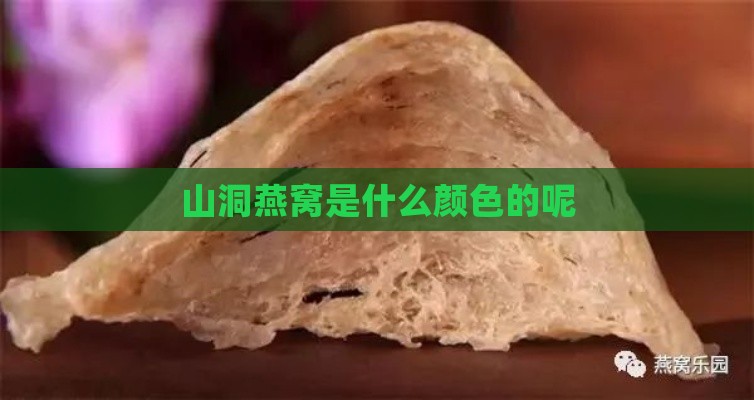 山洞燕窝是什么颜色的呢